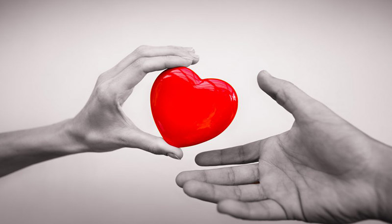 Donazione degli organi